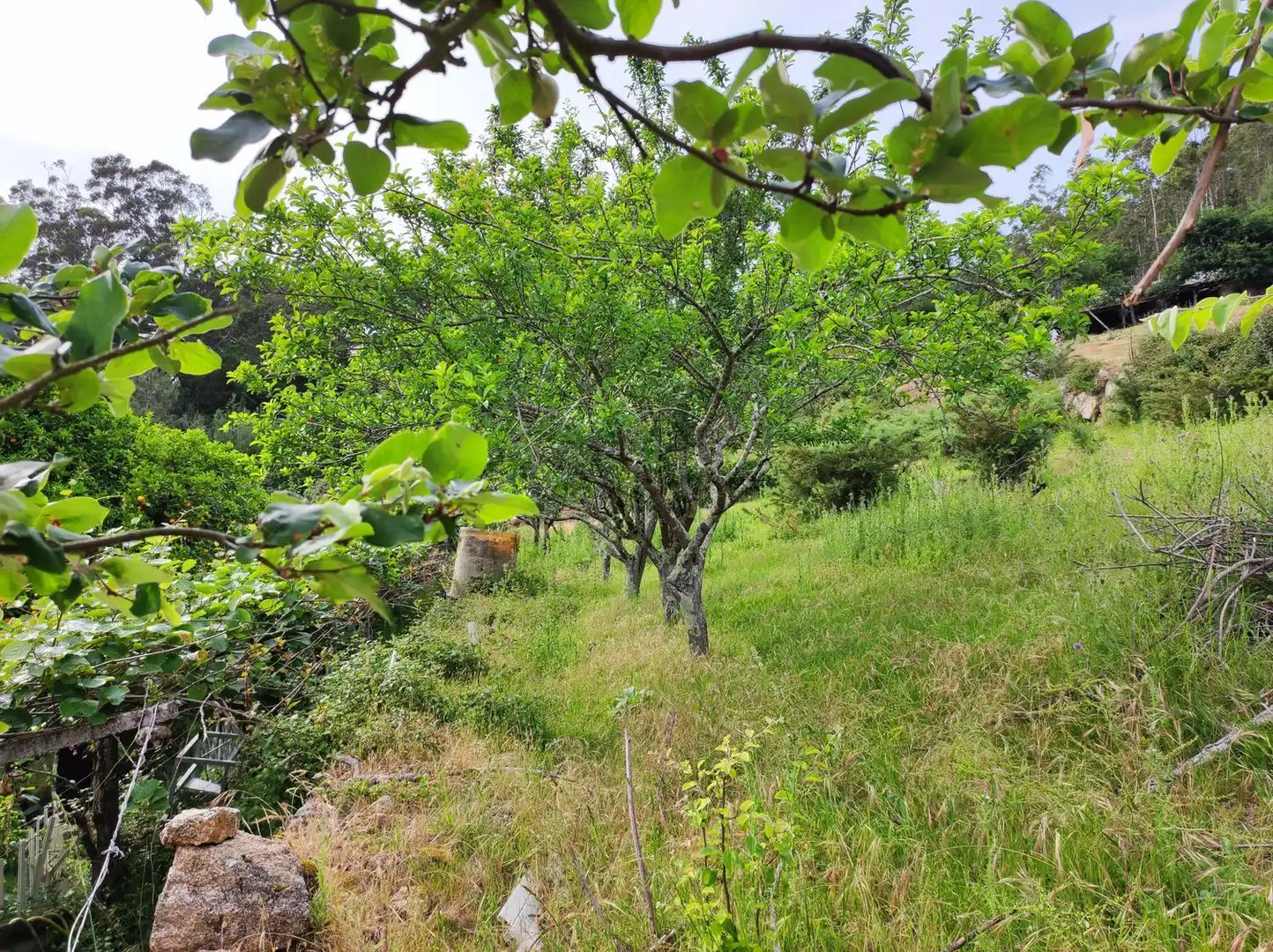 Villa avec jardin à vendre à Nabeiras, imagen 12