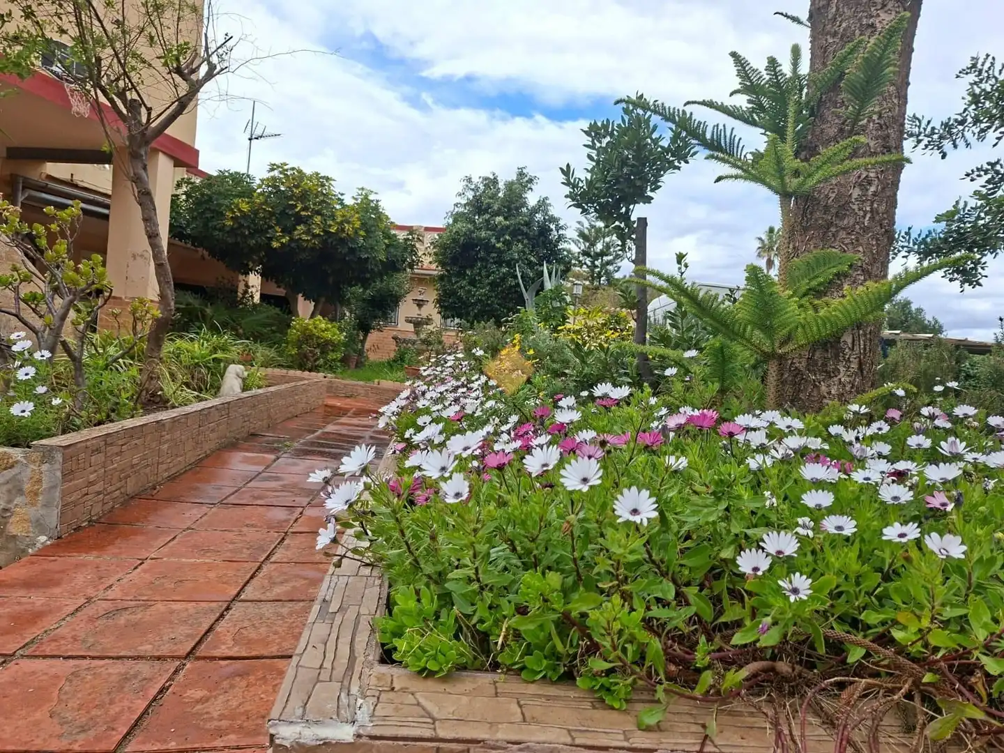 Villa con piscina in vendita a Centro, imagen 42