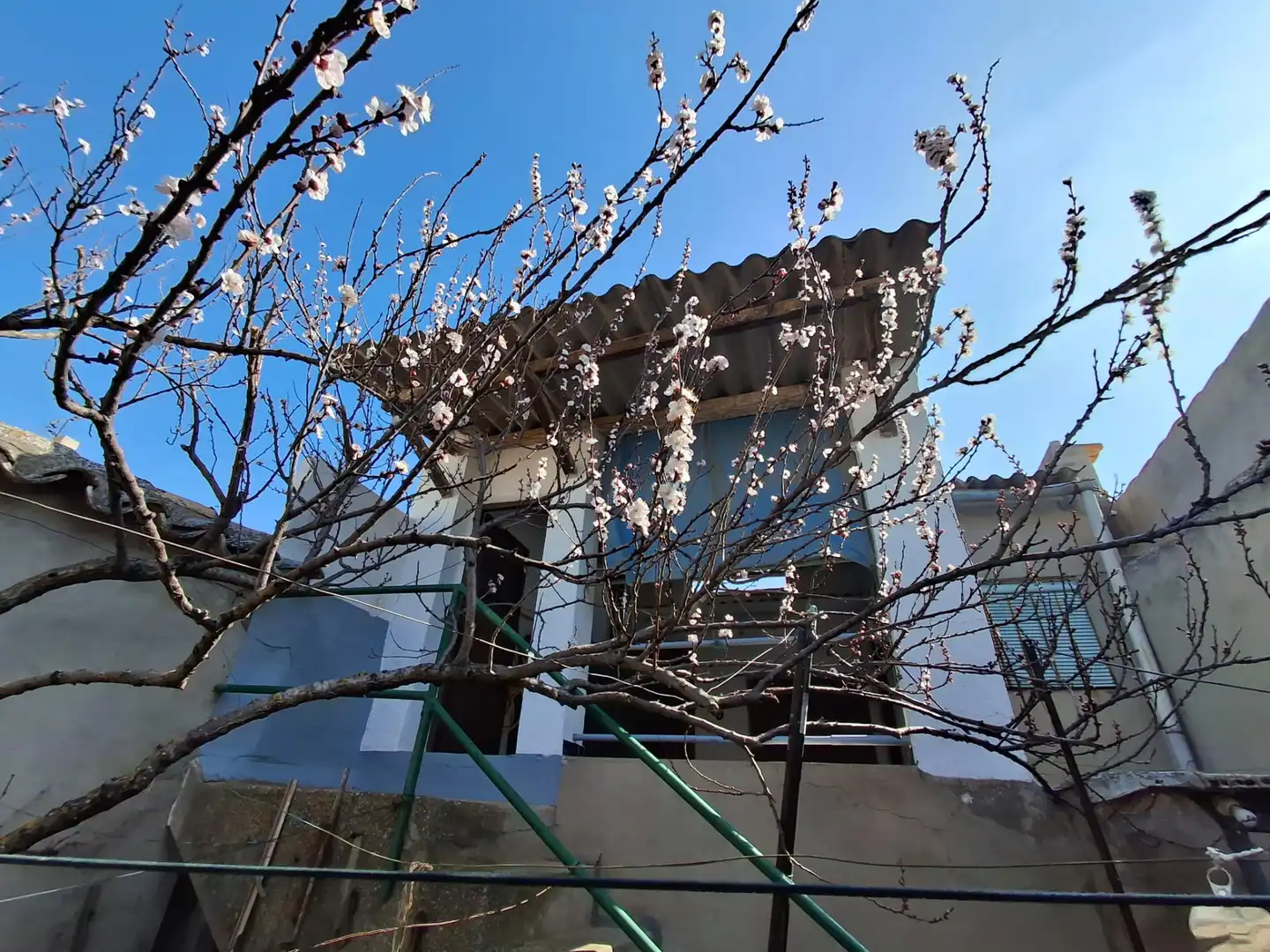 Vista exterior de Casa o chalet en venta en Campo de Criptana con Calefacción, Jardín privado y Terraza