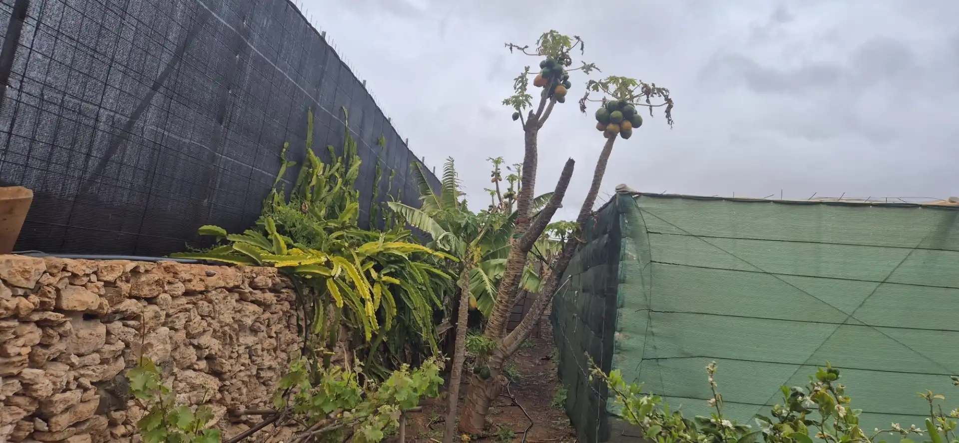 Jardín de Terreno en venta en Antigua