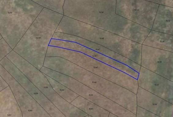 Terreno en Venta en Almanza