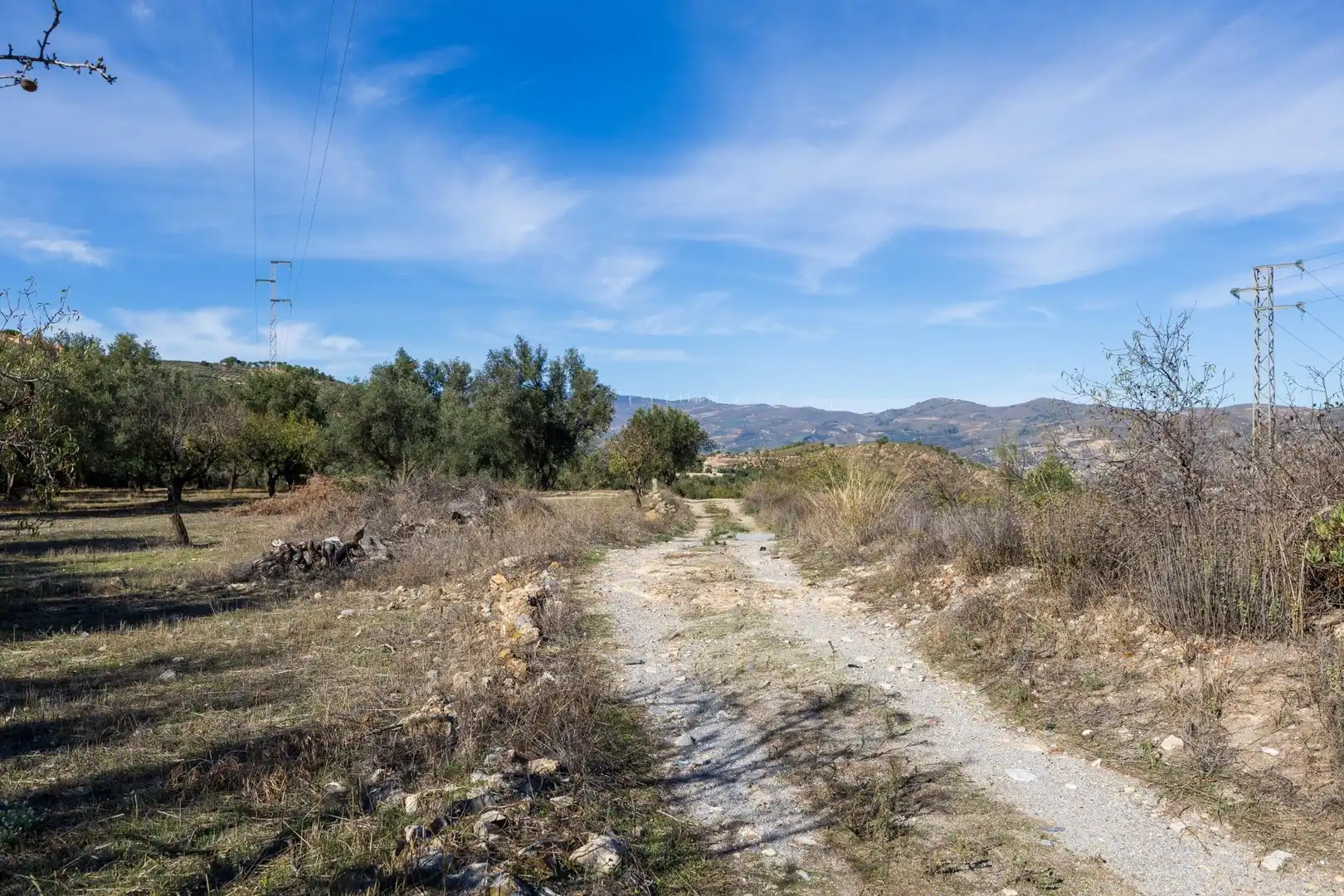Land for sale in Lecrín