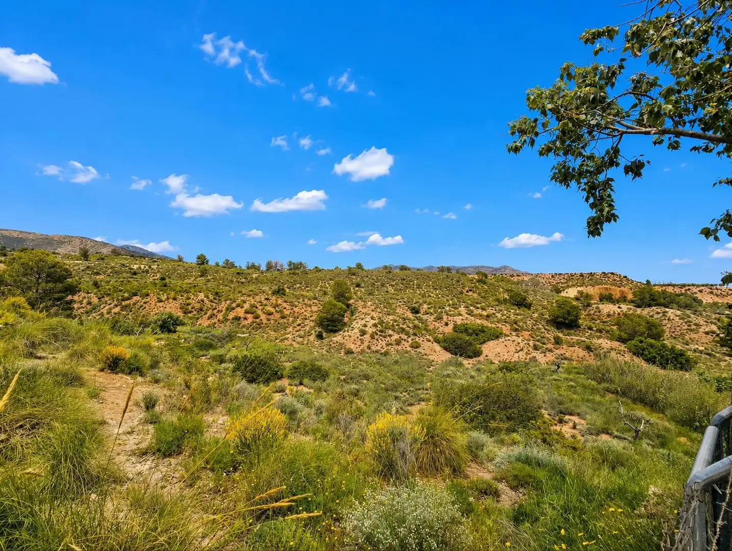 Houses for sale in Novelda  with Private garden, Storage room and Swimming Pool