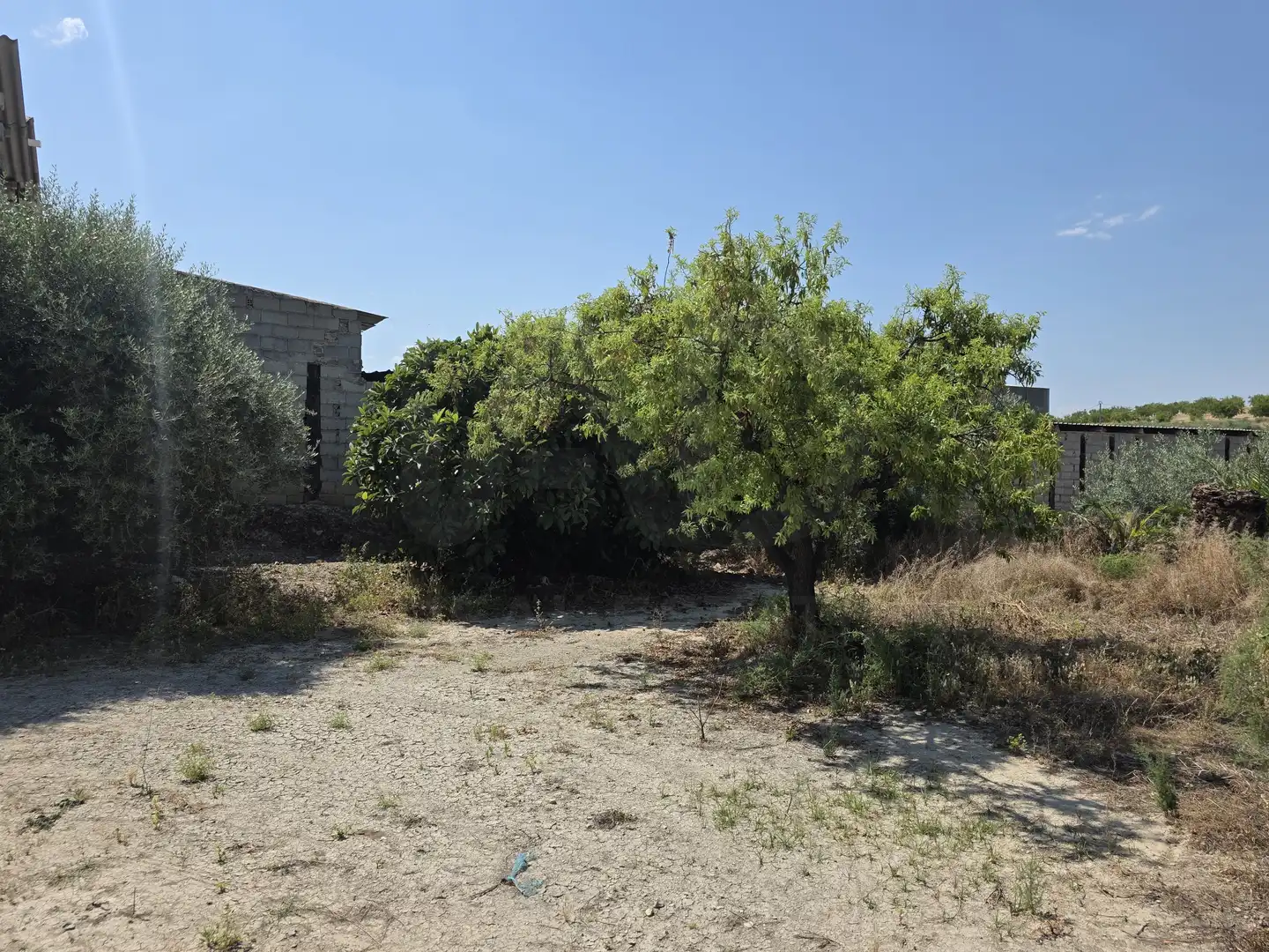 Terrenys i solars en venda a Cehegín, imagen 18