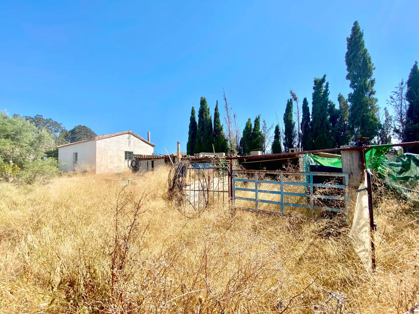 Terrenos y solares en venta en San Miguel de Salinas, imagen 15