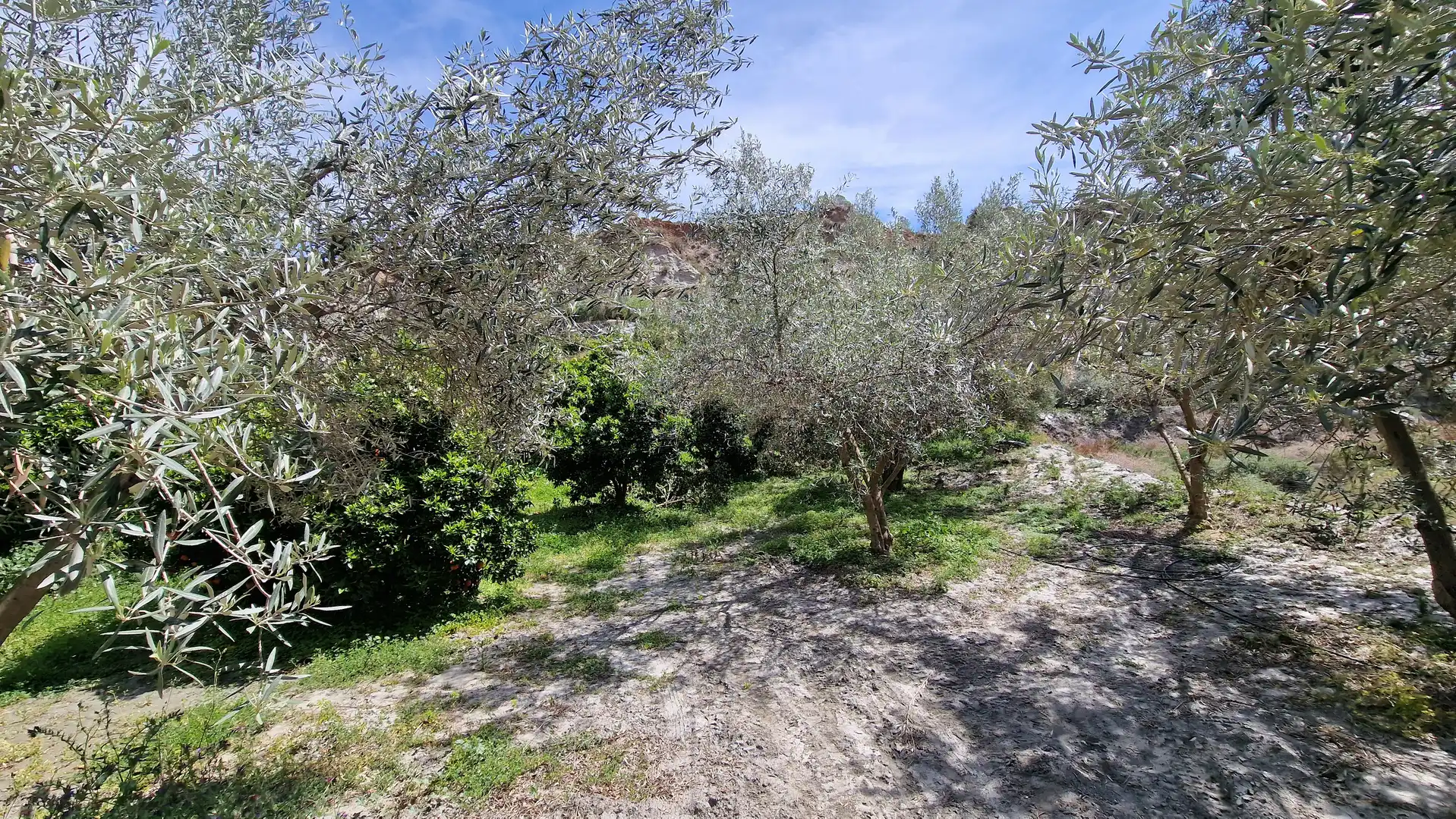 Finca rústica en venda en Canjáyar amb Jardí privat i Moblat