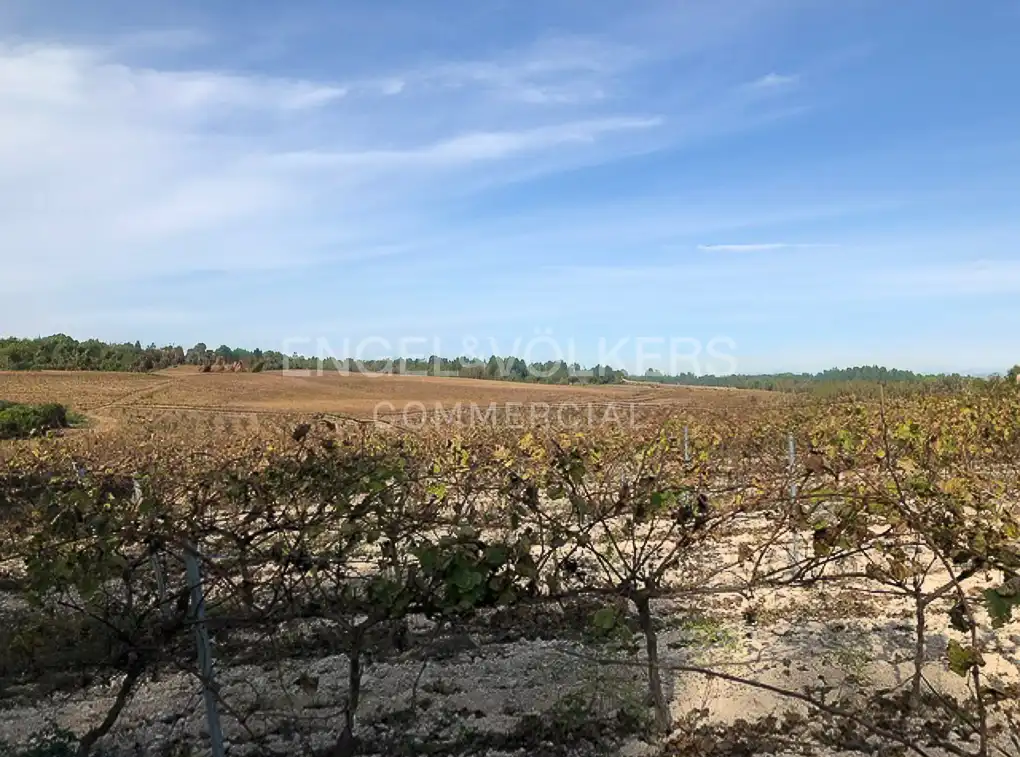 Fabrik Grundstücke zum Verkauf in Avinyonet del Penedès