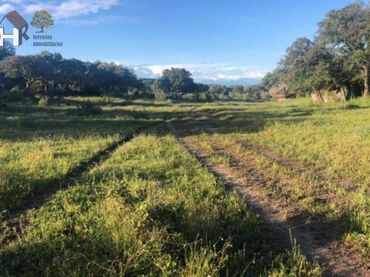Terrenos y solares en venta en Casco Antiguo