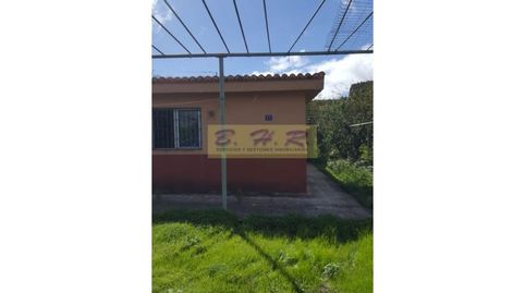 Foto 4 de Finca rústica en venta en La Esperanza - Llano del Moro, El Rosario