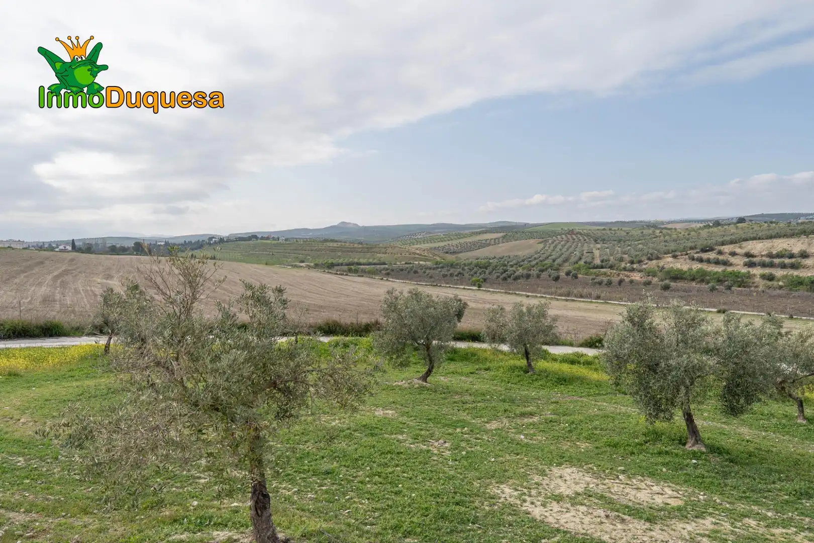 Terreni e lotti in vendita a Cúllar Vega, imagen 11
