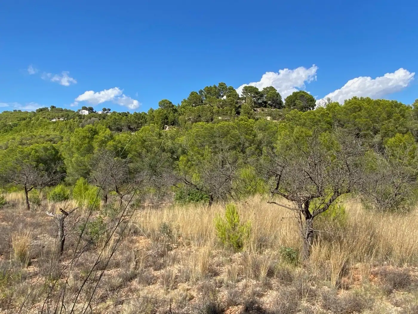 Terreny residencial en venda a Benissa pueblo, imagen 11