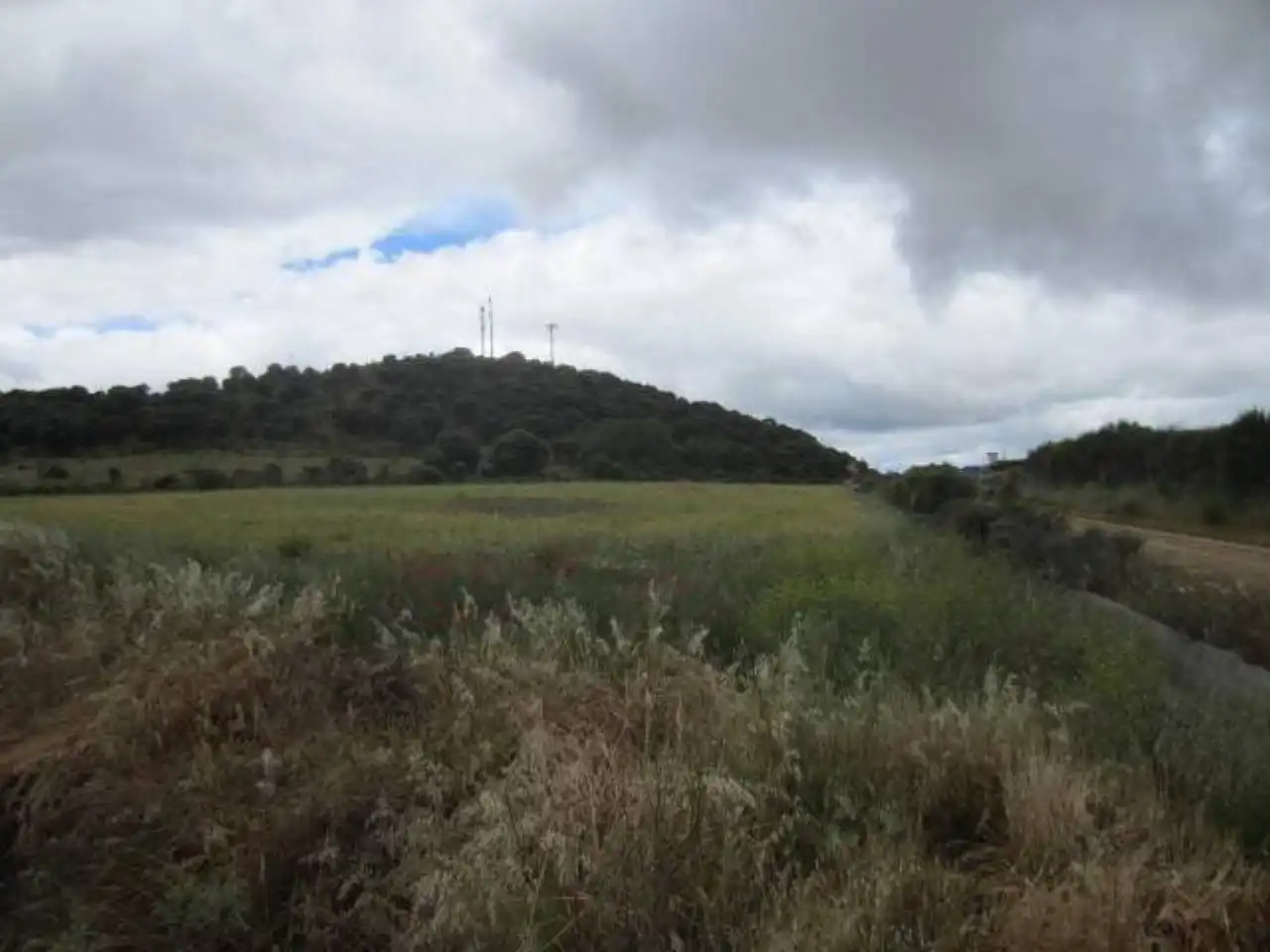 Terreno rústico en venta en Poligono 17, imagen 4