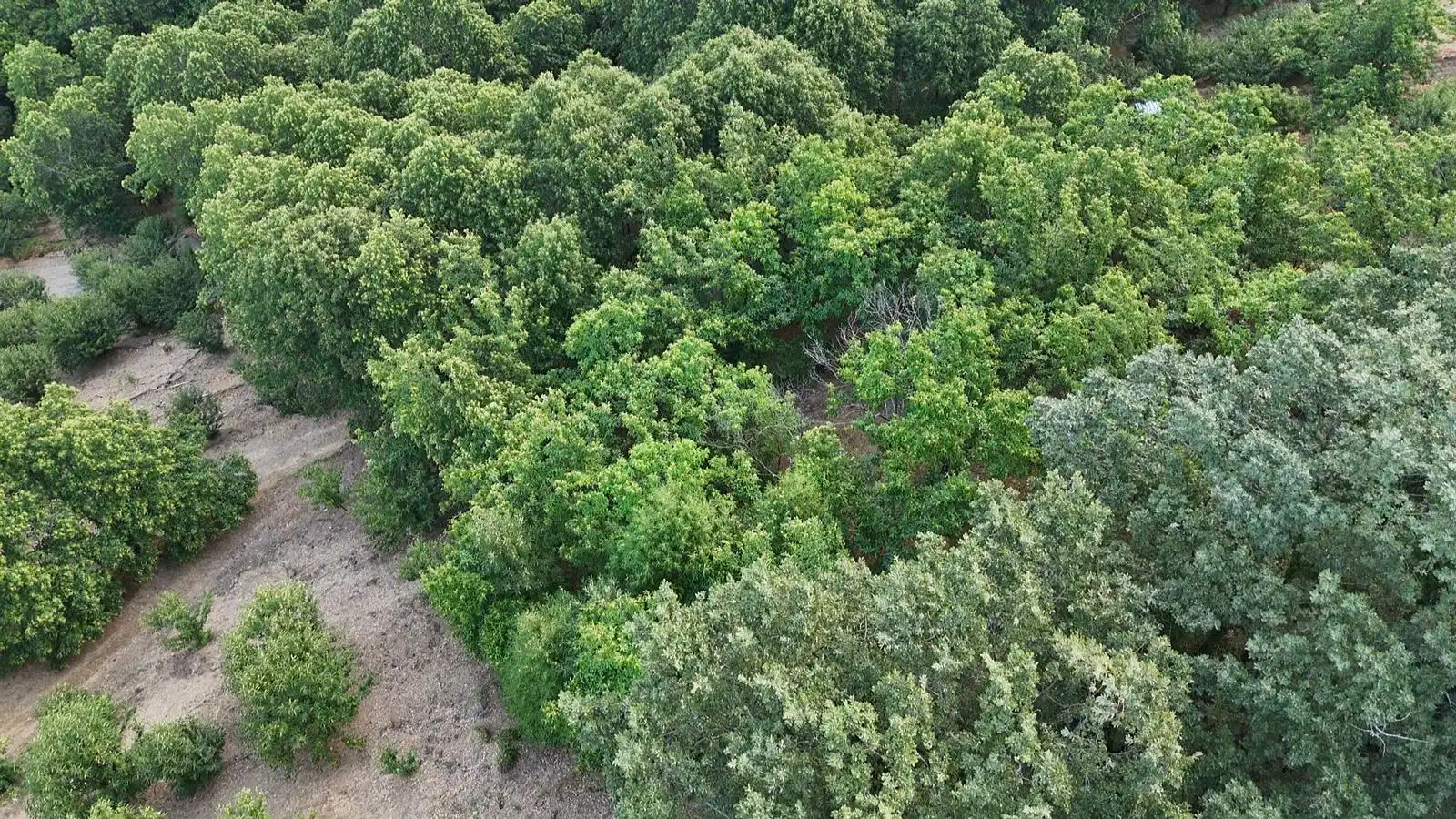 Grundstücke zum Verkauf in Navaconcejo