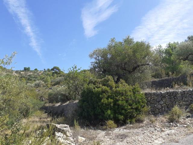 Terreno en Venta en Bítem