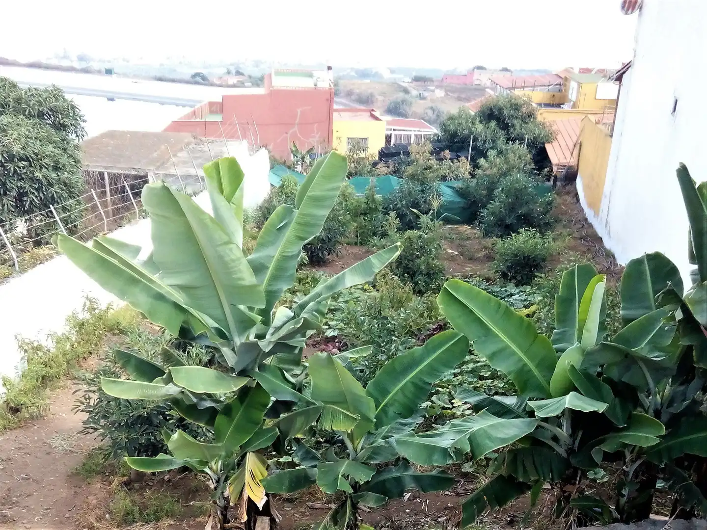 Houses for sale in Los Realejos  with Private garden, Terrace and Storage room