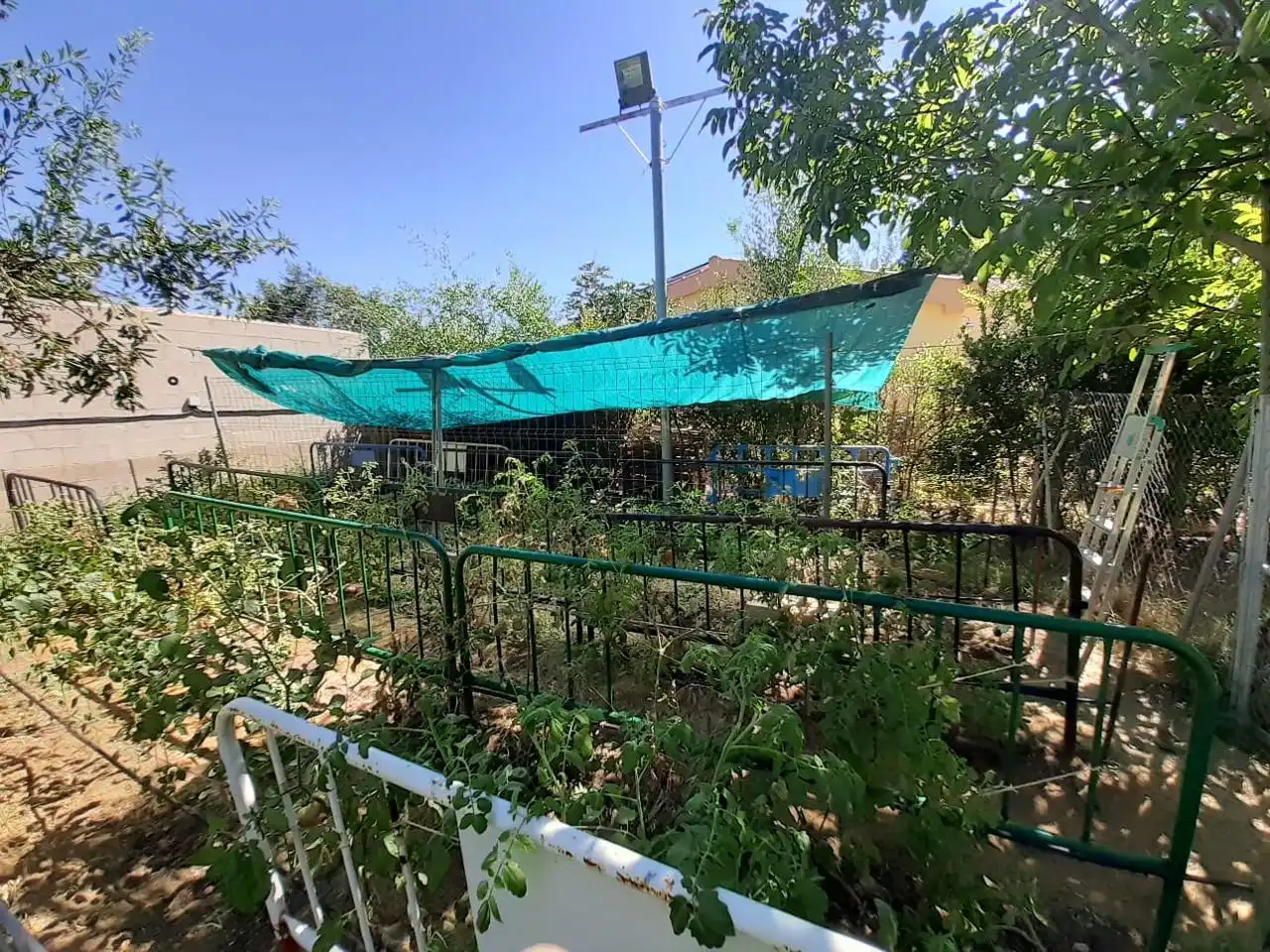 Garden of Houses for sale in Albacete  with Heating, Storage room and Swimming Pool
