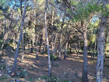 Lands and plots for sale in IBERS 29