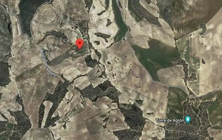 Terreny rústic en venda a Polígono 14 Parcela 91 CJO PAVA. ALHAMA DE GRANAD, imagen 6