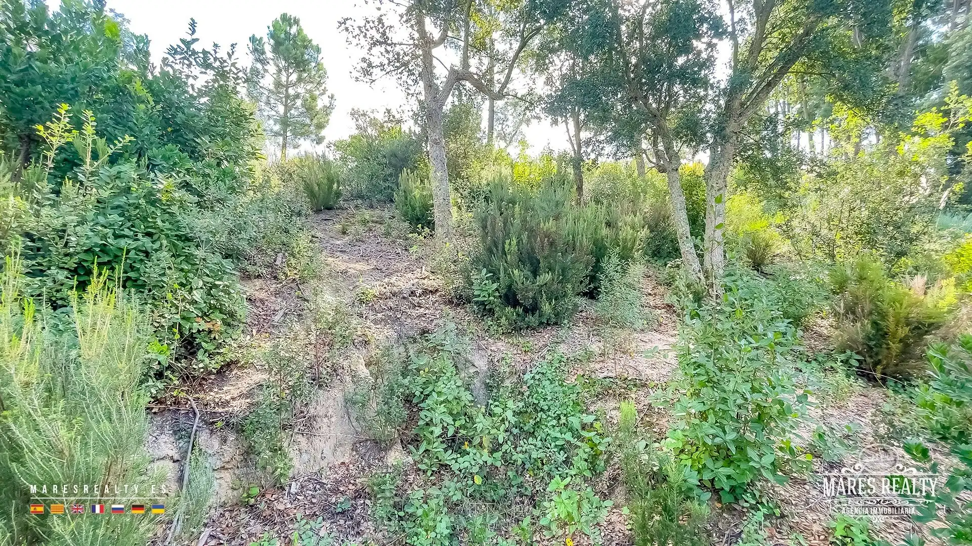Lands and plots for sale in Lloret Blau - La Creu de Lloret, imagen 12