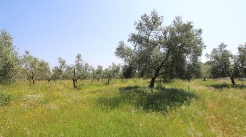 Photo 5 of Residential for sale in Esparragalejo, Badajoz