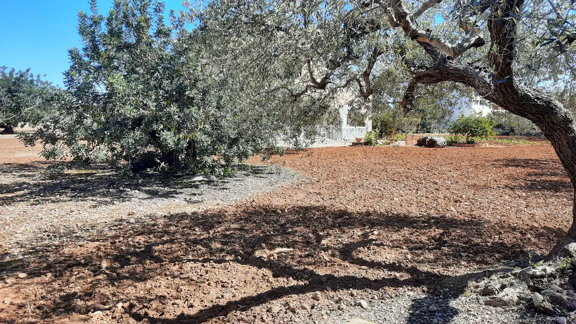 Villa avec terrasse à vendre à Les Salines, imagen 36