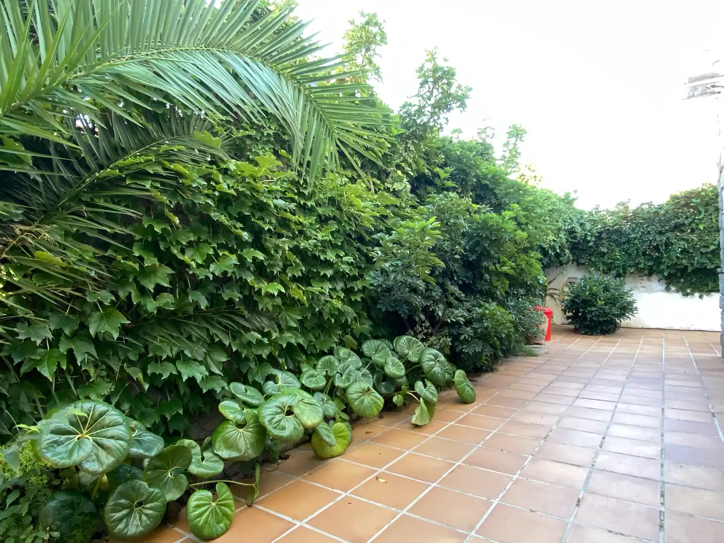 Casa o chalet en venta en Ocata