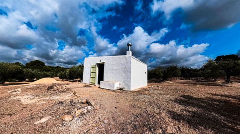 2 Finca rusticas a 5km de L'Ampolla con posibilidad de conectar al agua y luz.