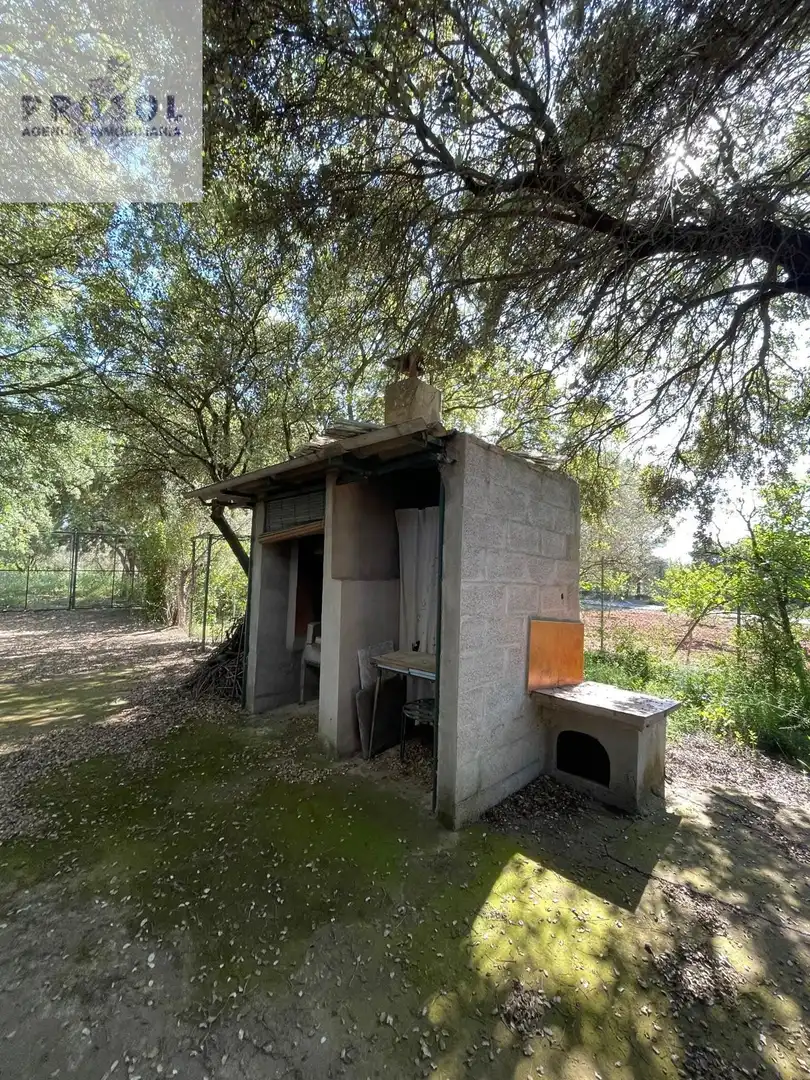 Vista exterior de Finca rústica en venta en Vilafamés