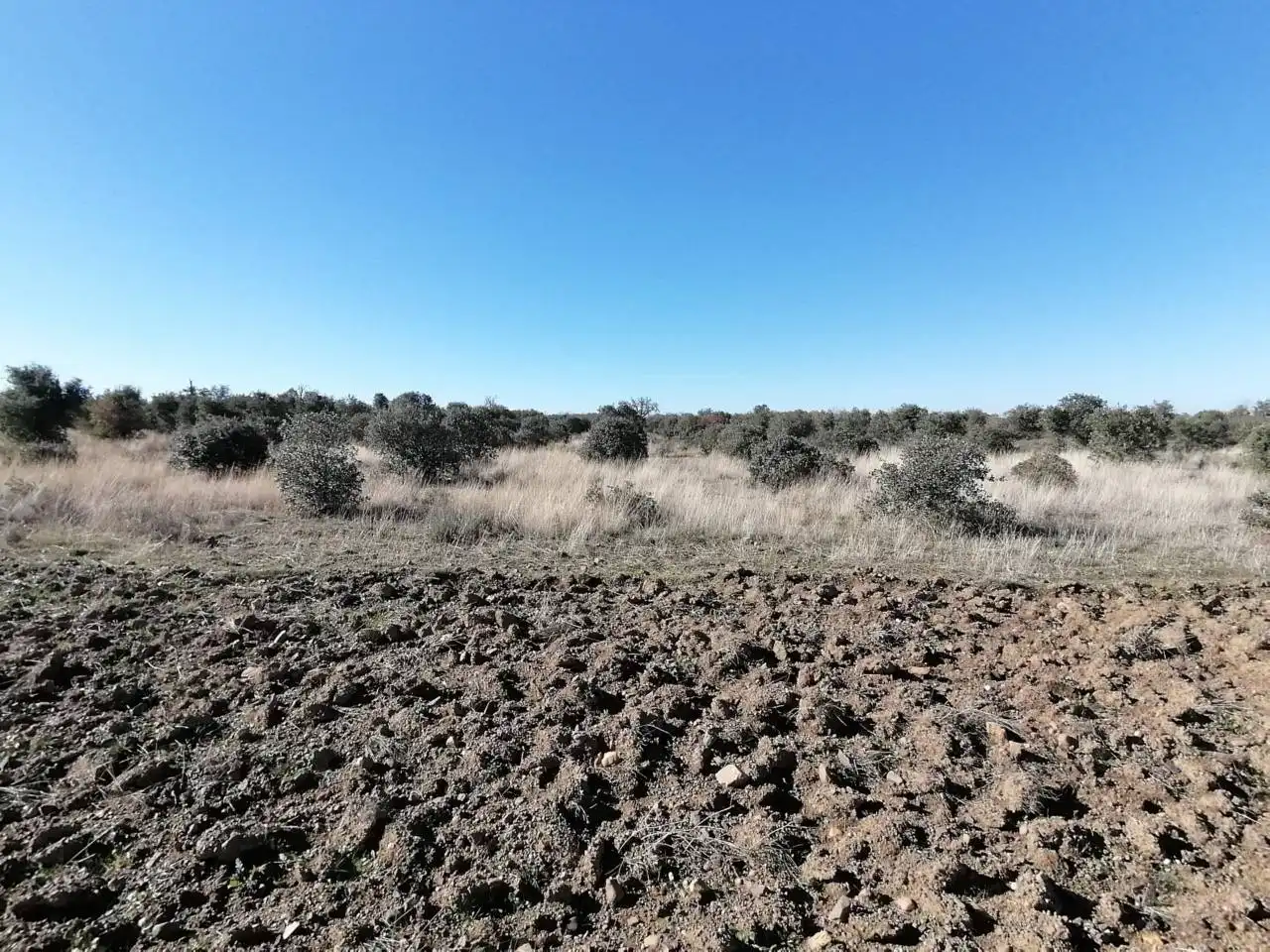 Terreny rústic en venda a Serradilla del Arroyo, imagen 21