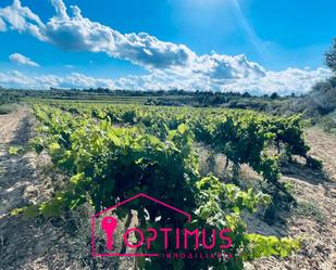 Land for sale in Torrent