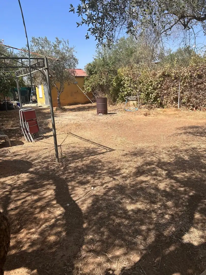 Rural land for sale in Pilas, imagen 21