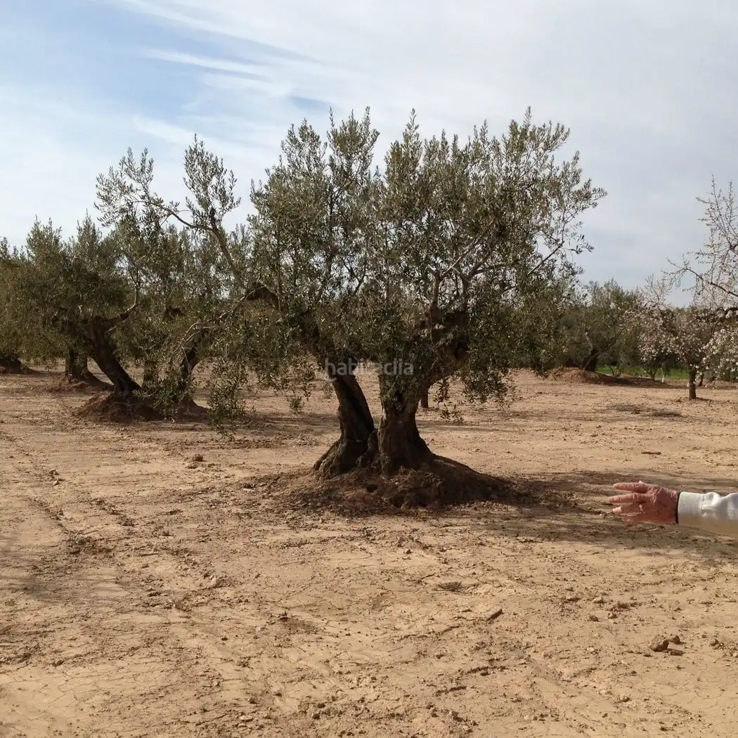 Rustikales Grundstück zum Verkauf in Carrer del Centre 6
