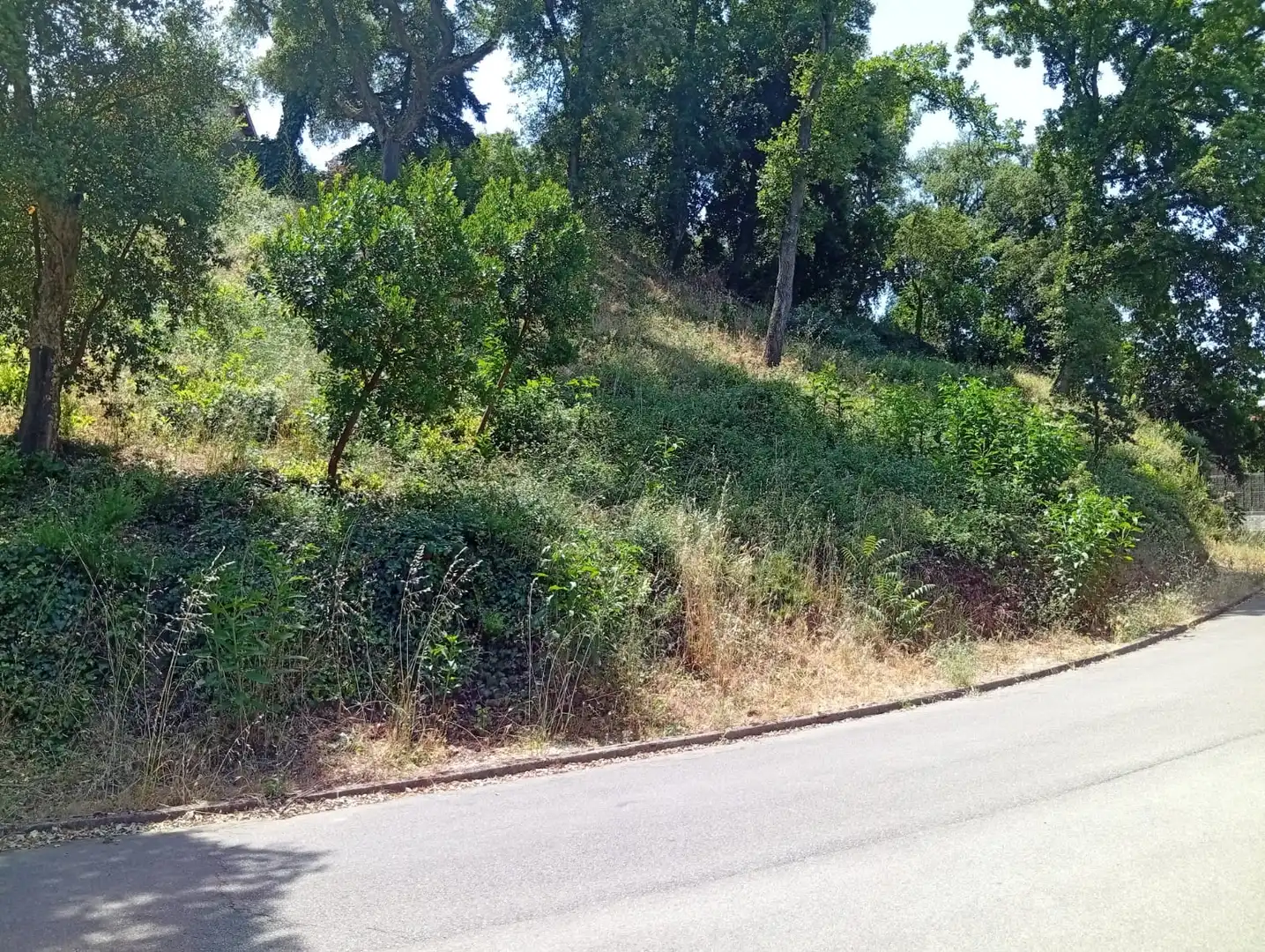 Residential for sale in Vallgorguina