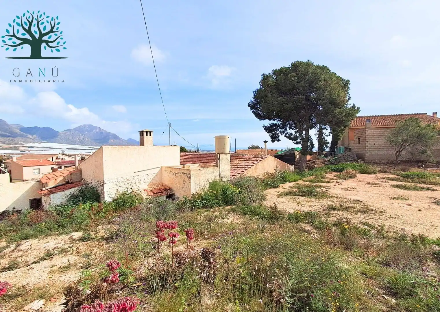 Vista exterior de Casa o xalet en venda en Mazarrón amb Jardí privat, Traster i Moblat