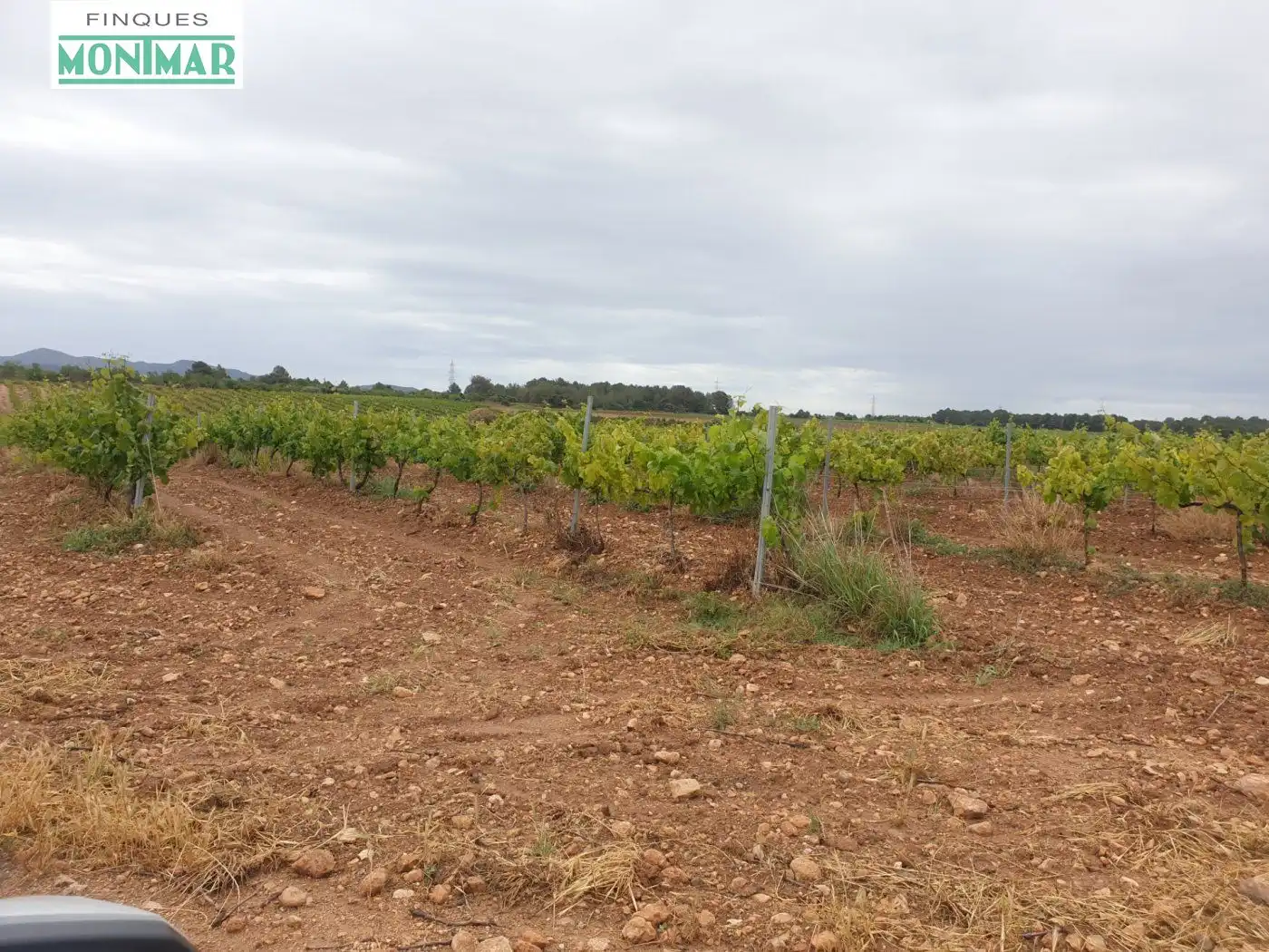 Finca rústica en venda en El Pla de Santa Maria