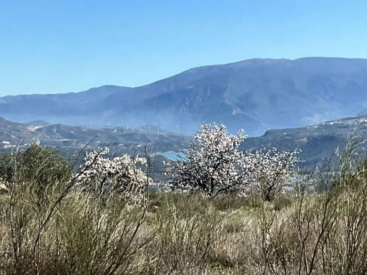 Terreni e lotti in vendita a El marchal, El valle, imagen 16