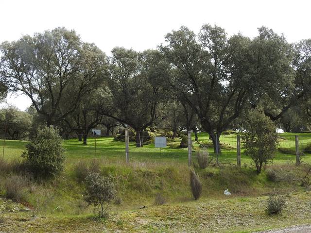 Terreno en Venta en Navamorcuende