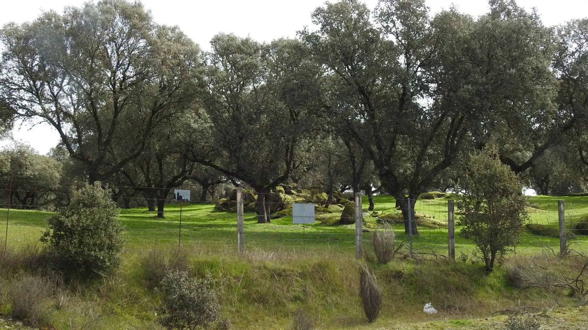 Terreno en venta en Navamorcuende