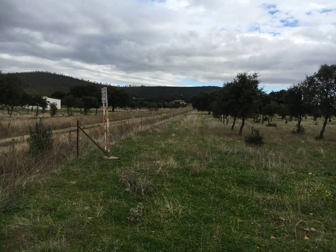 Terreny rústic en venda a Carretera  PERALEDA DEL ZAUCEJO, imagen 7