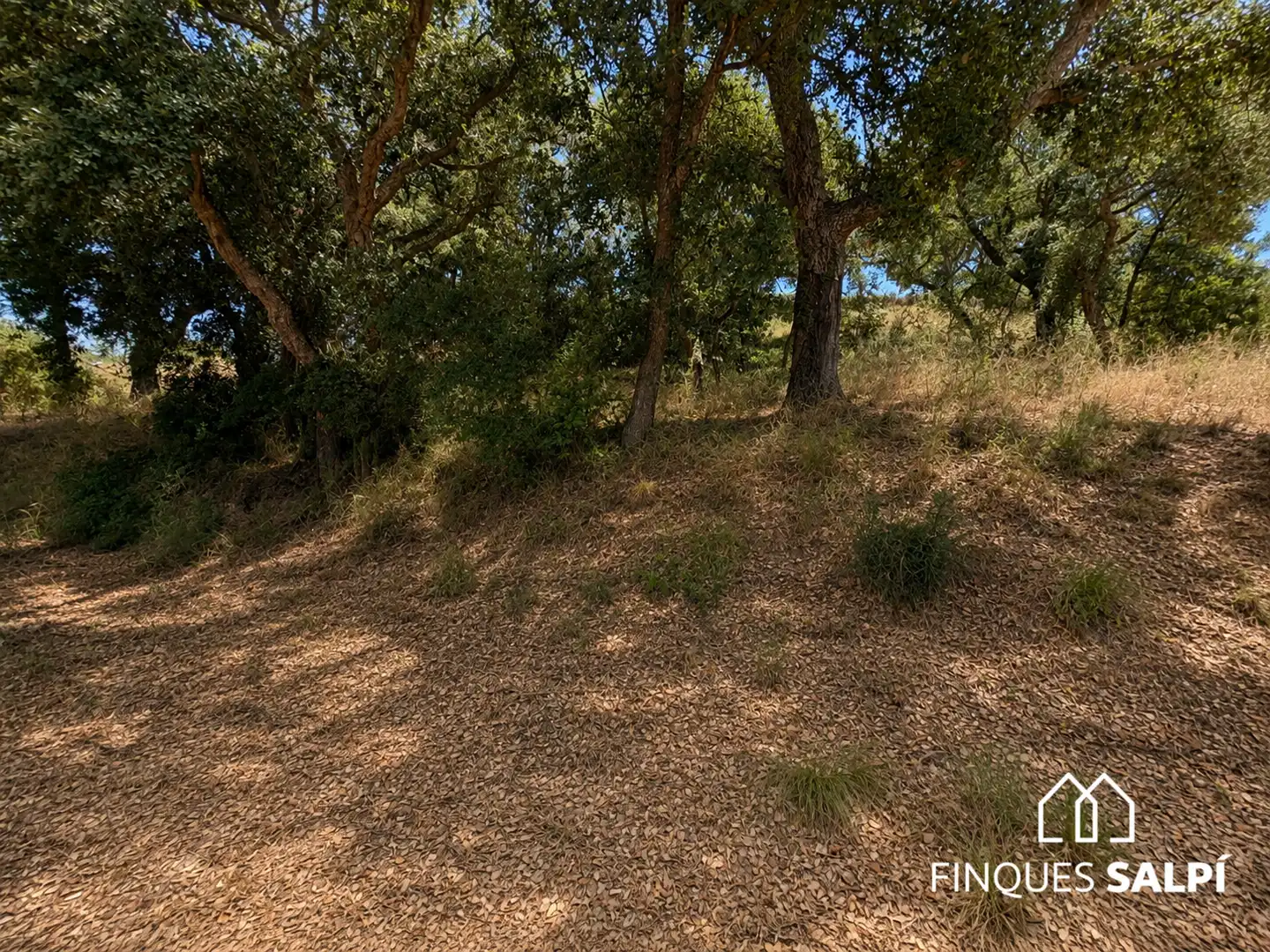Finca rústica en venda en Santa Cristina d'Aro amb Jardí privat