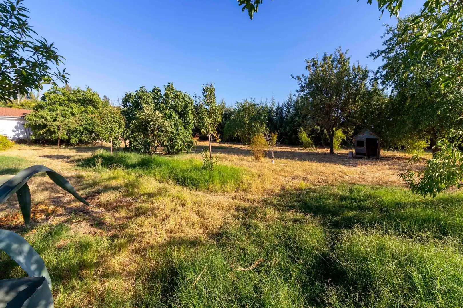 Casa rústica con piscina en venta en Dehesilla de Calamón - Campomanes, imagen 53