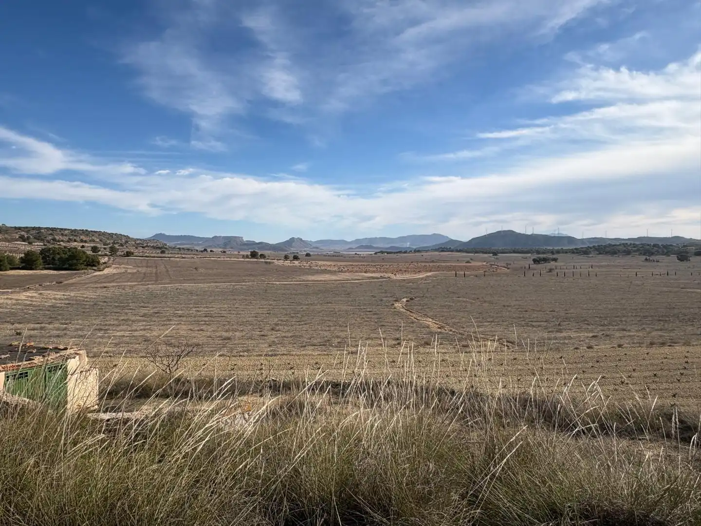 Finca rústica en venta en Ontur