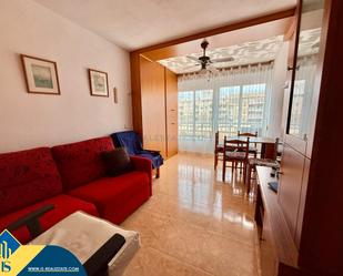 Living room of Study for sale in Torrevieja  with Air Conditioner, Heating and Terrace