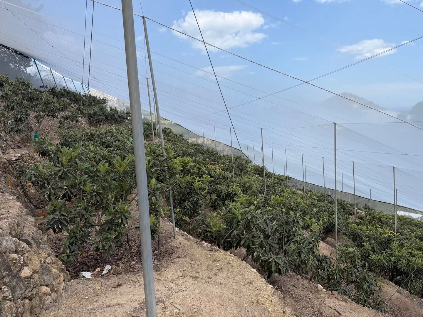 Finca rústica en venta en Polop