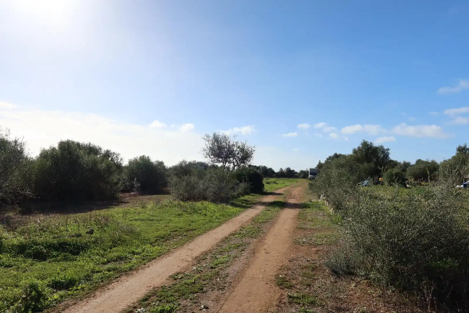 Residential land for sale in Campos poble, imagen 13