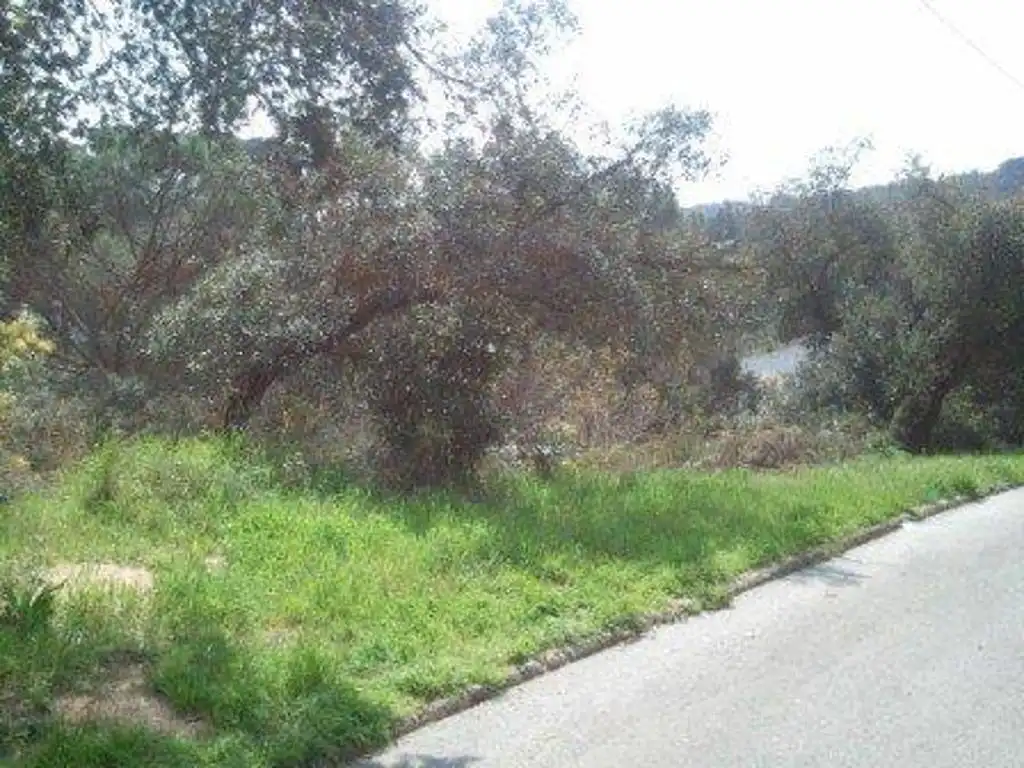 Terreny residencial en venda a Carrer Mas Margarida, imagen 2