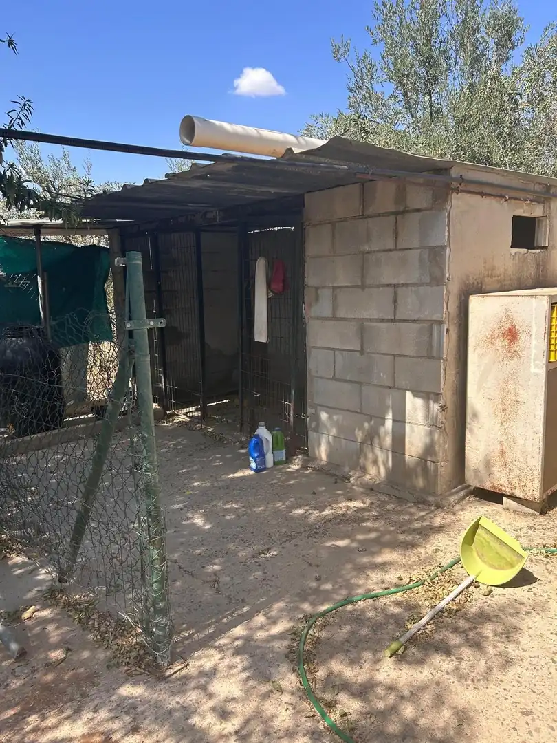 Rural land for sale in Pilas, imagen 28