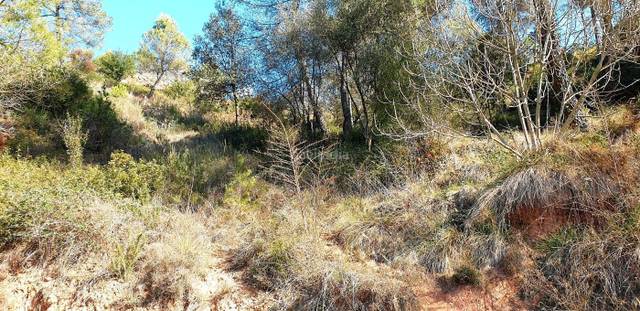 Terreno residencial en Venta en Rellinars