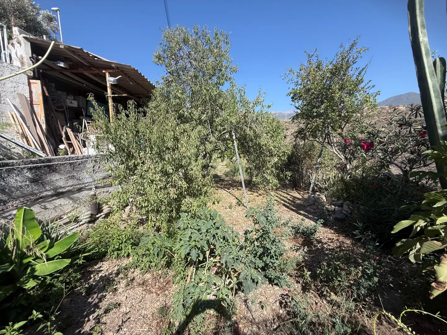 Country house with garden for sale in Calle la Vera, imagen 24