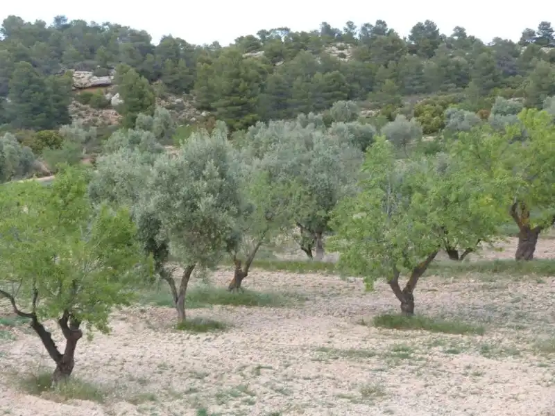 Country homes for sale in Valjunquera